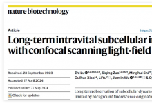 戴琼海/吴嘉敏/俞立团队发布共聚焦扫描光场显微镜：活体长时程高速三维高分辨观测新利器