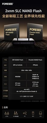 江波龙FORESEE 2xnm SLC NAND Flash以先进制程工艺迎接WiFi7时代