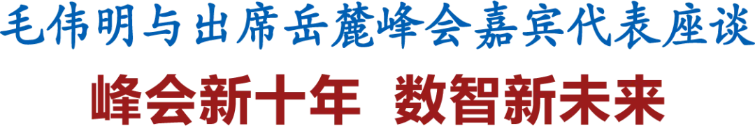 毛伟明与出席2024互联网岳麓峰会嘉宾代表座谈