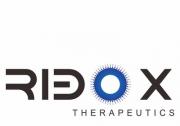 RiboX Therapeutics首款环形RNA药物RXRG001临床IND获美国FDA批准