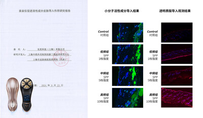 上海市皮肤病医院美容仪促进活性成分皮肤导入作用研究报告观测结果图