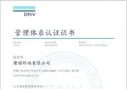 荣耀成国内首个获ISO/IEC 42001认证的终端企业