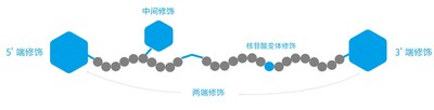 图3.Oligo修饰类型功能分类