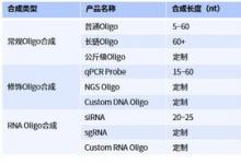 擎科基因工厂揭秘（下）：高效Oligo合成，基因合成最快3天内可交付