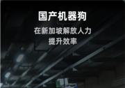 云深处机器狗成功交付新加坡电网 云深处科技 2024年12月11日 17:00 浙江