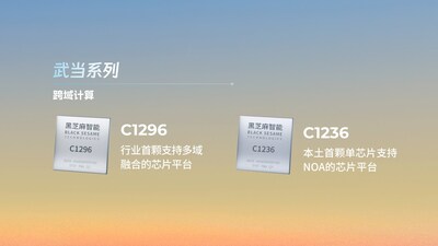 黑芝麻智能武当C1200家族芯片