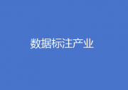 国家发展改革委等部门关于促进数据标注产业高质量发展的实施意见|数据标注产业与自动化科技