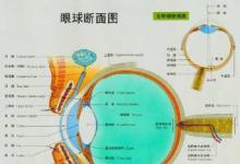 西电科大研发出人工智能眼科医生